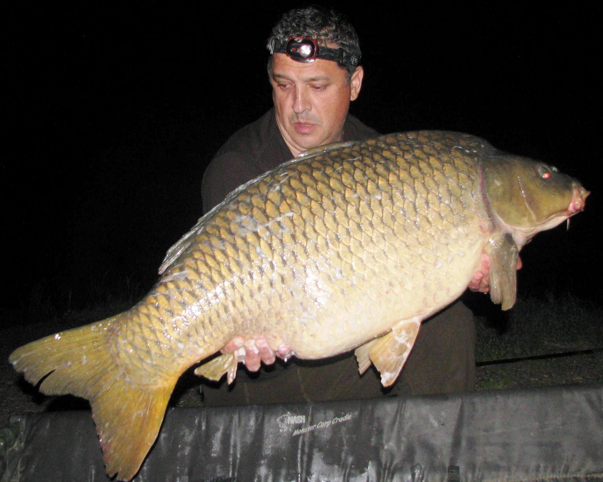 Pelagicevo Jezero  mai 2015 - img2101.JPG